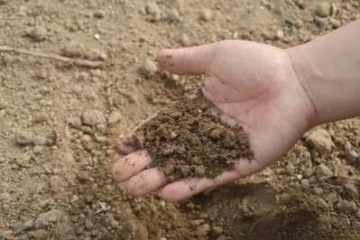 soil stabilization techniques in denver co
